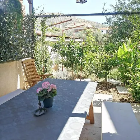 Kursan Seget Vranjica